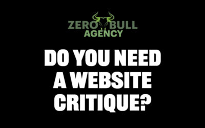 Do You Need A Website Critique?